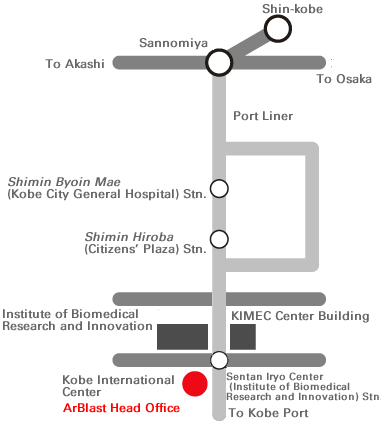 Head Office